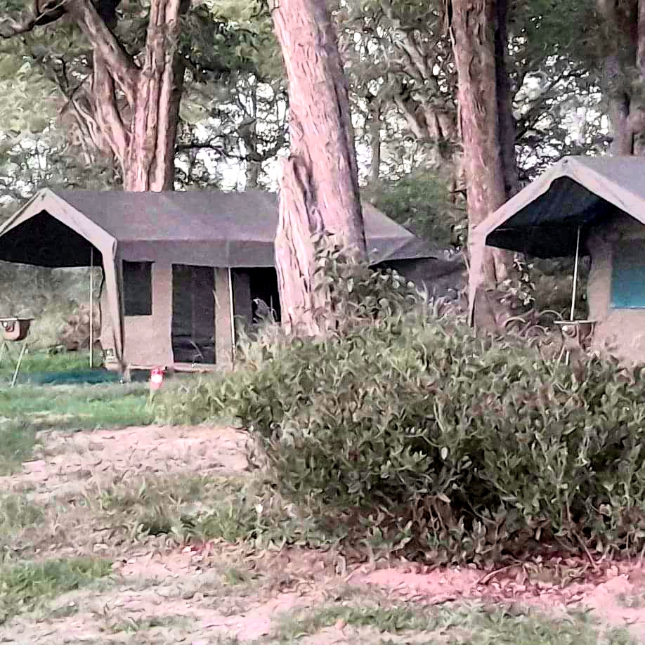 Camp setup Exterior