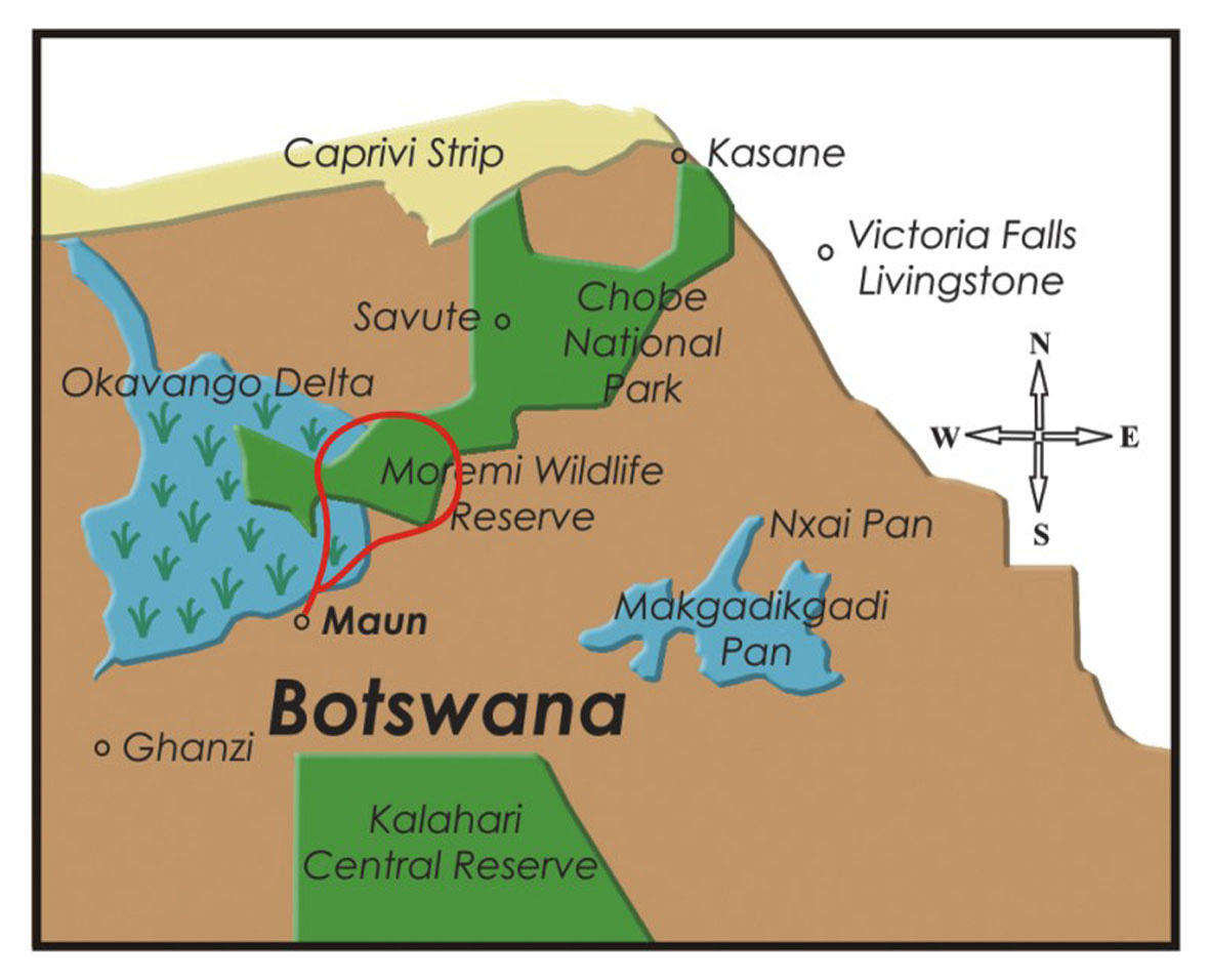 Okavango Safari