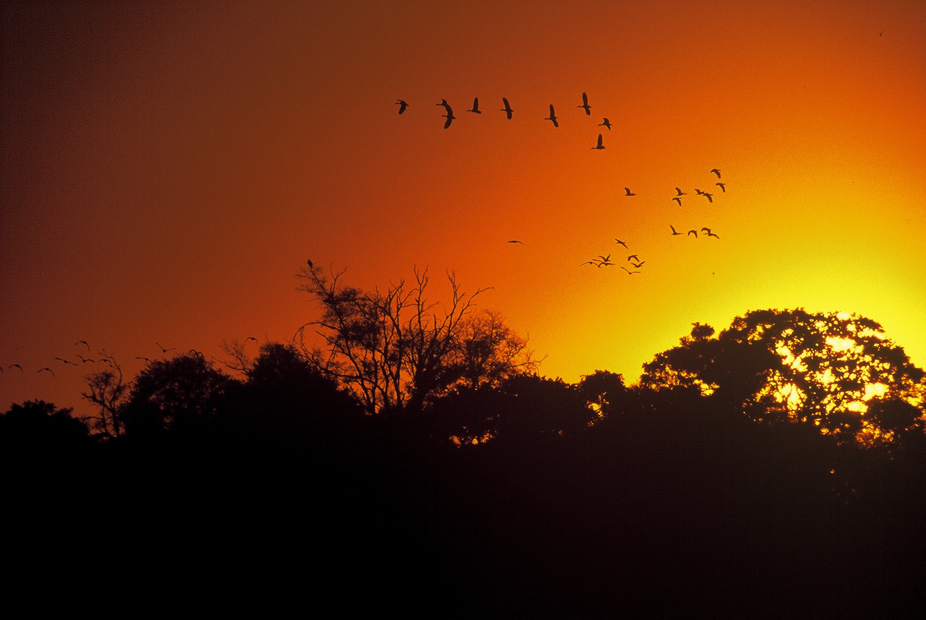 Sunset high res