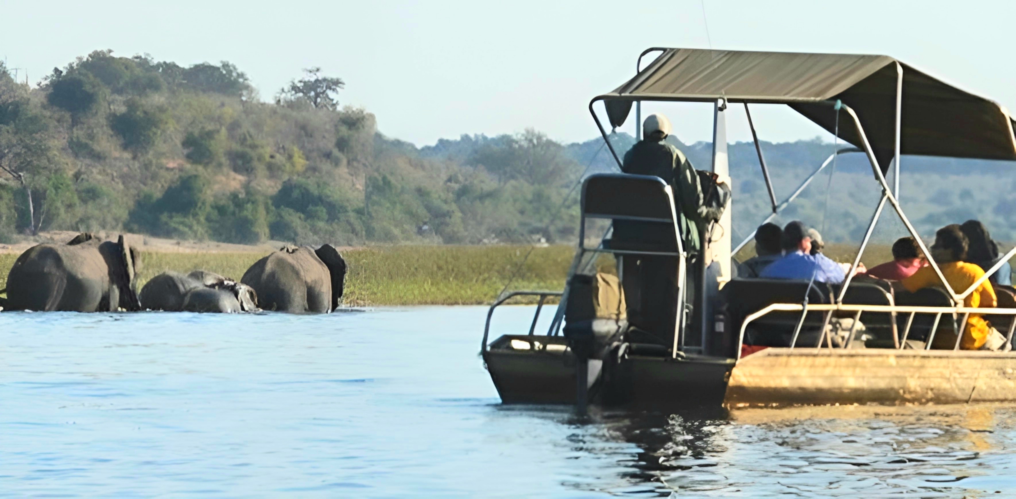 Chobe boat cruise