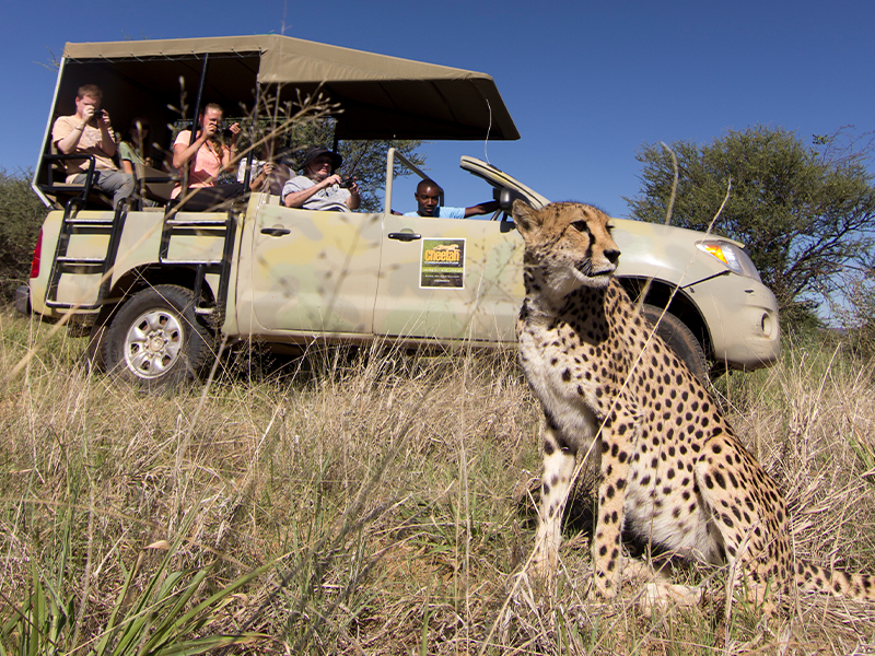 Game Drive 2