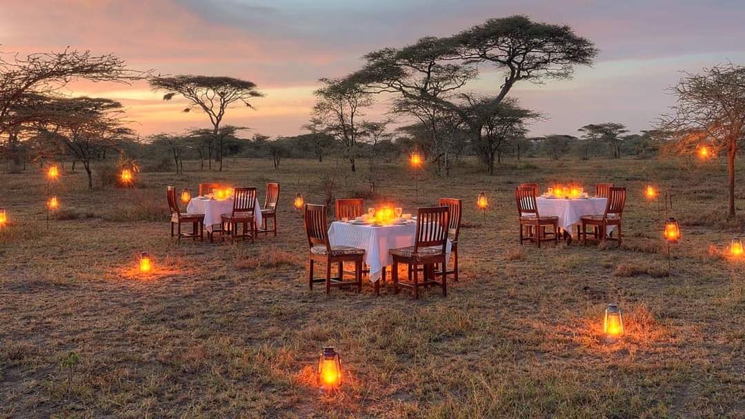 Dinner under the Stars