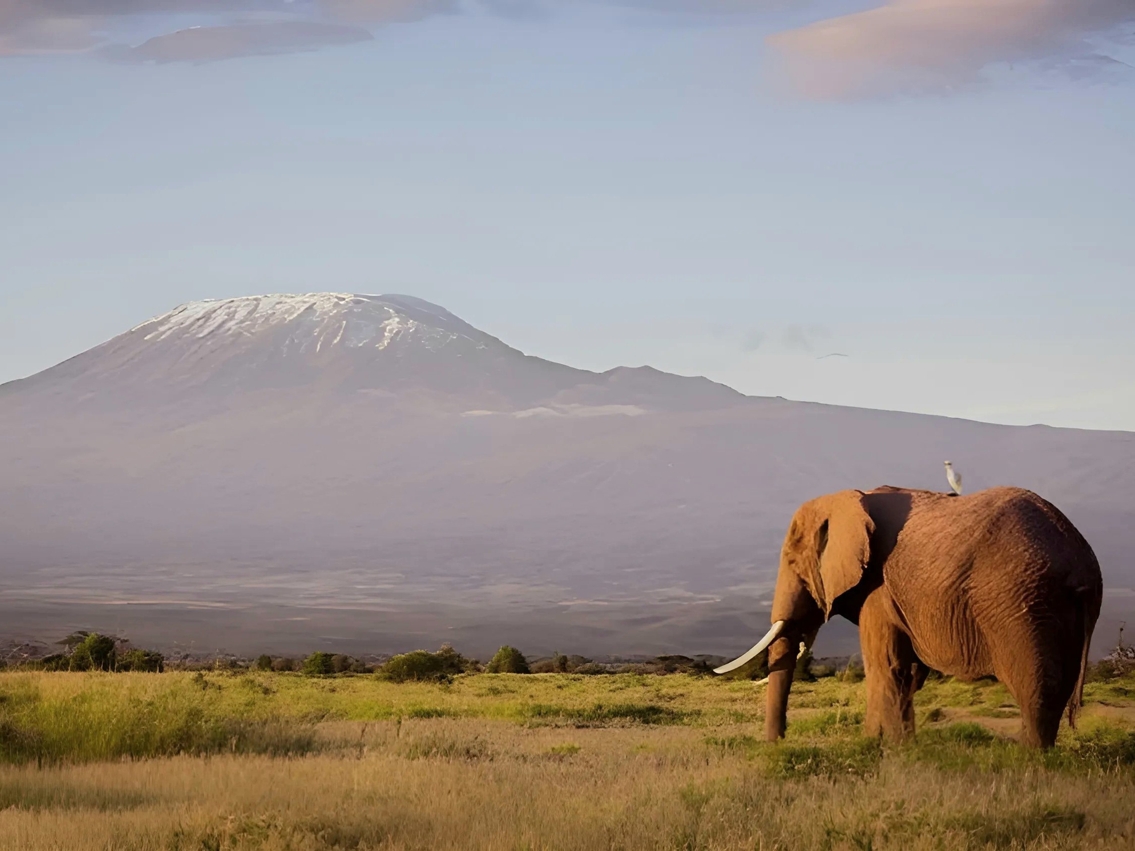 Mt Kili (2)